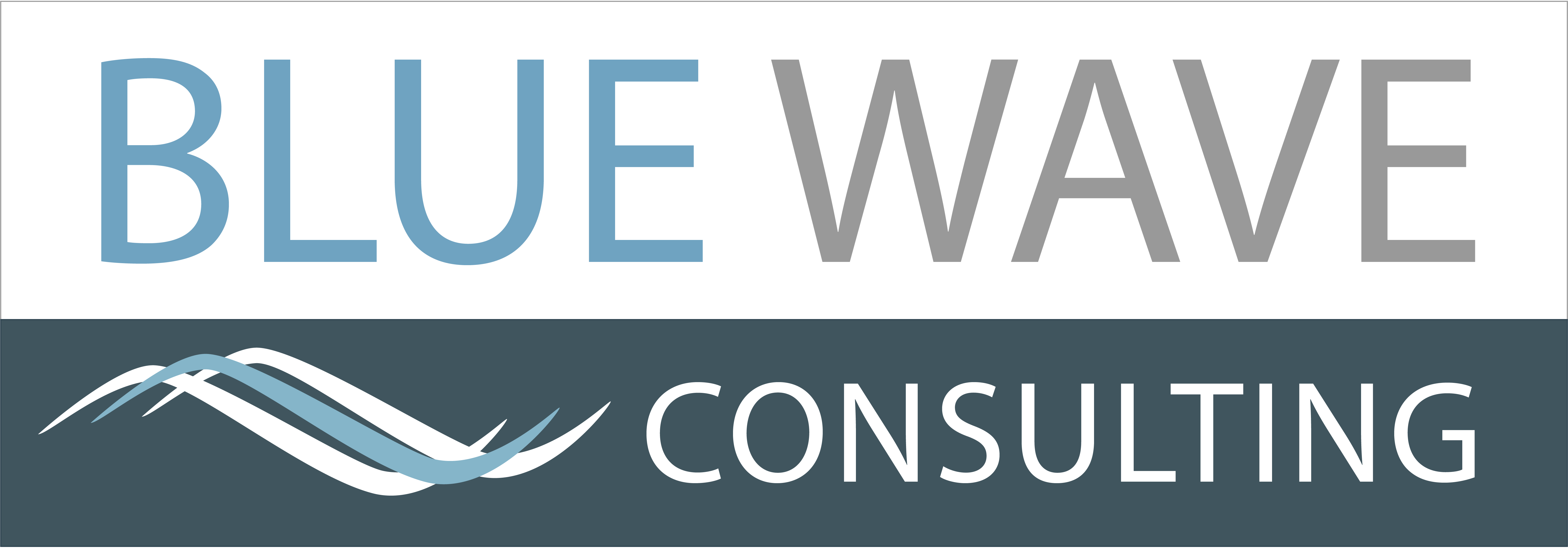 Blue Wave Consulting 